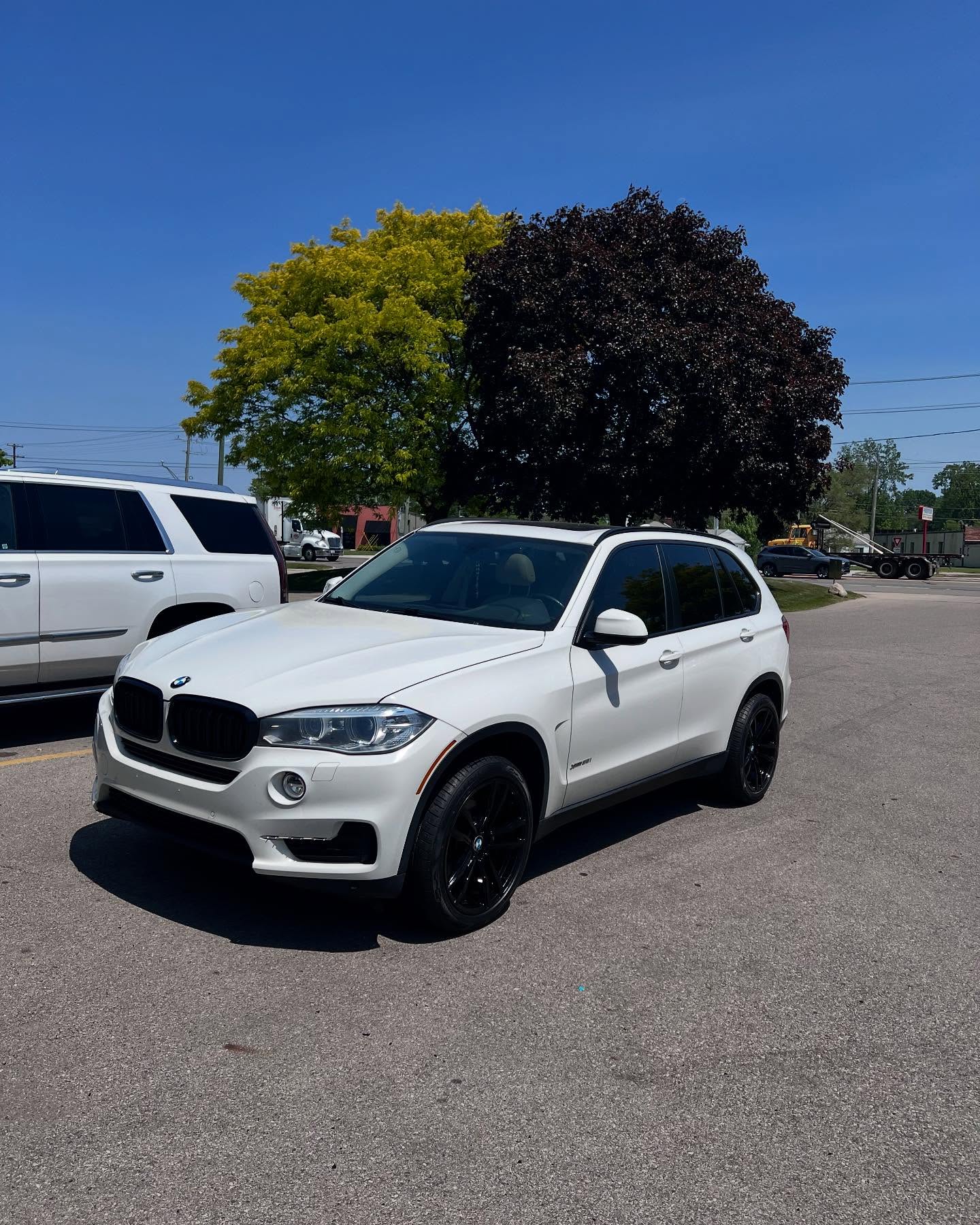 Car Gallery — build 174