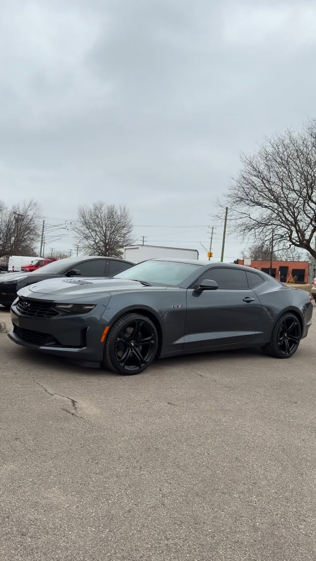 Car Gallery — build 75