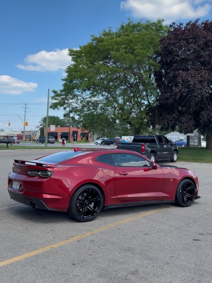 Car Gallery — build 5