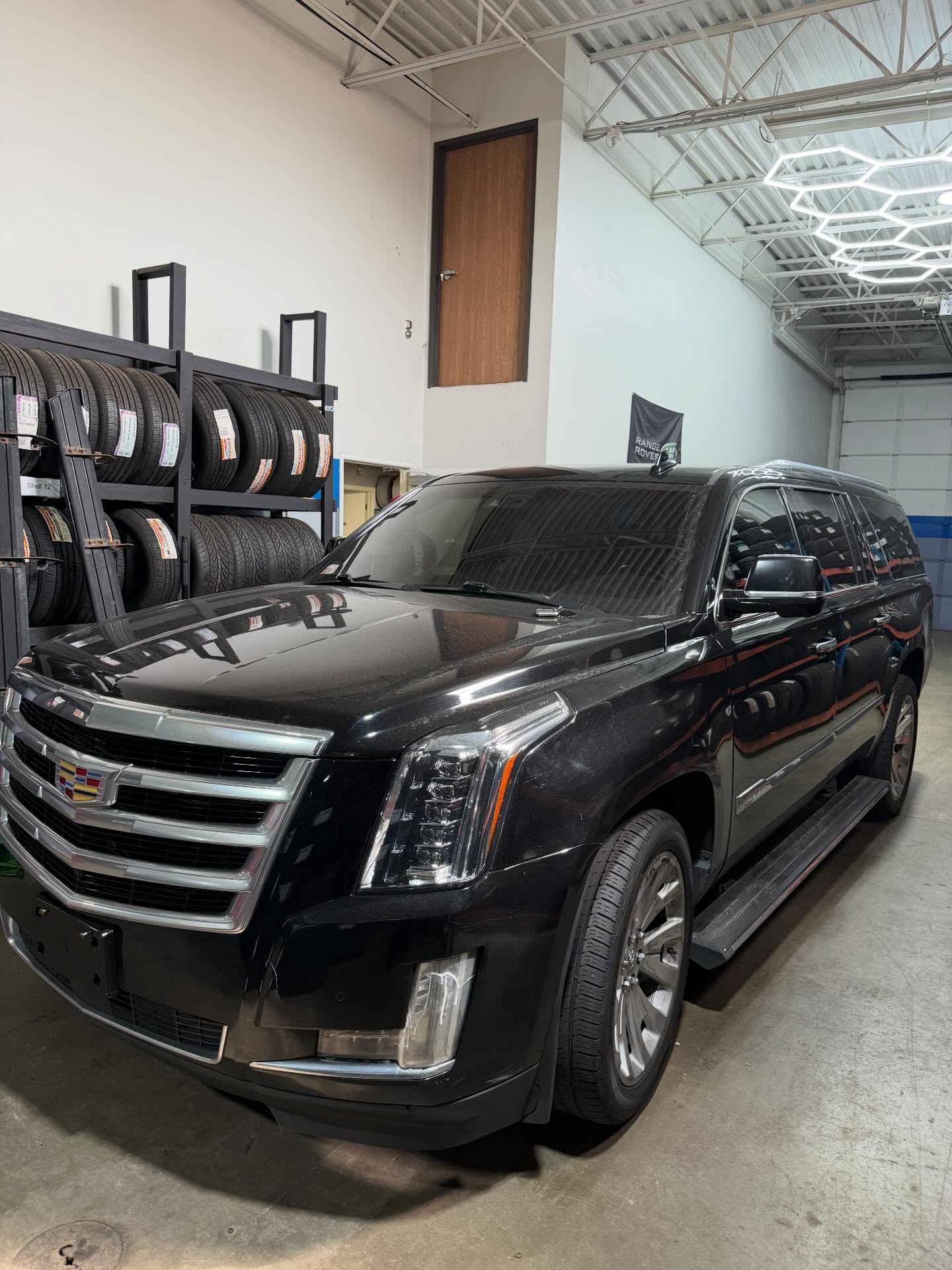 Car Gallery — build 61