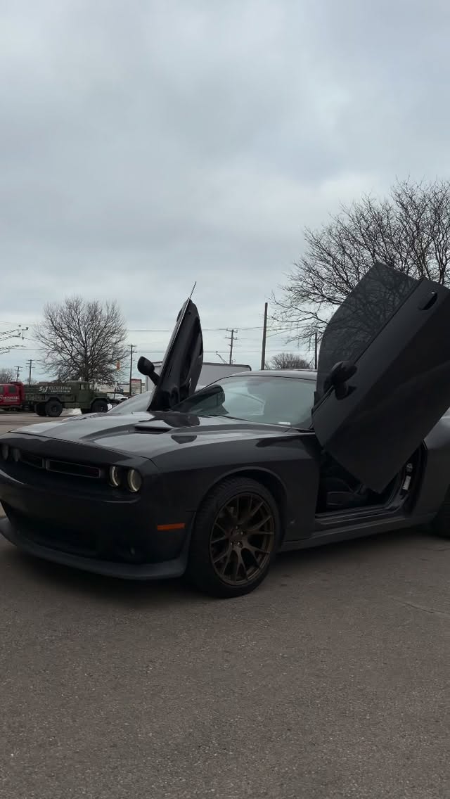 Car Gallery — build 74