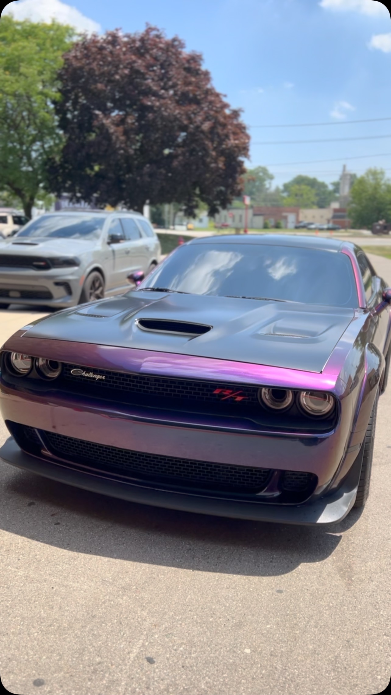 Car Gallery — build 135