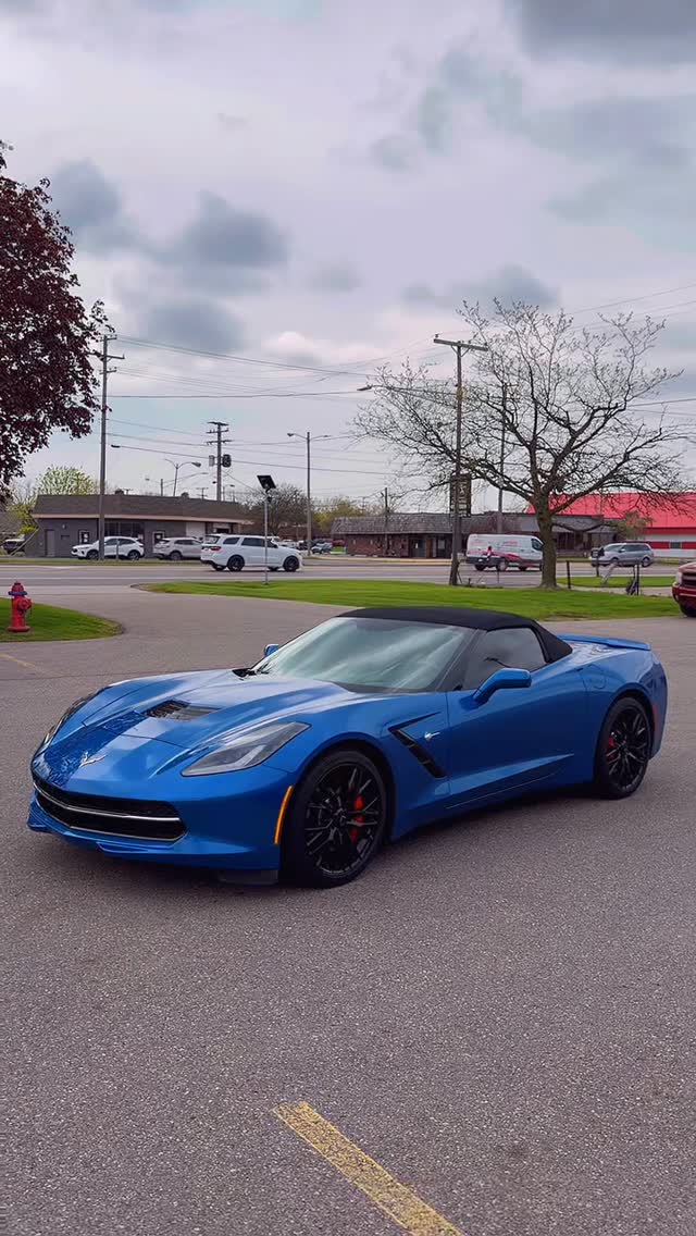 Car Gallery — build 37