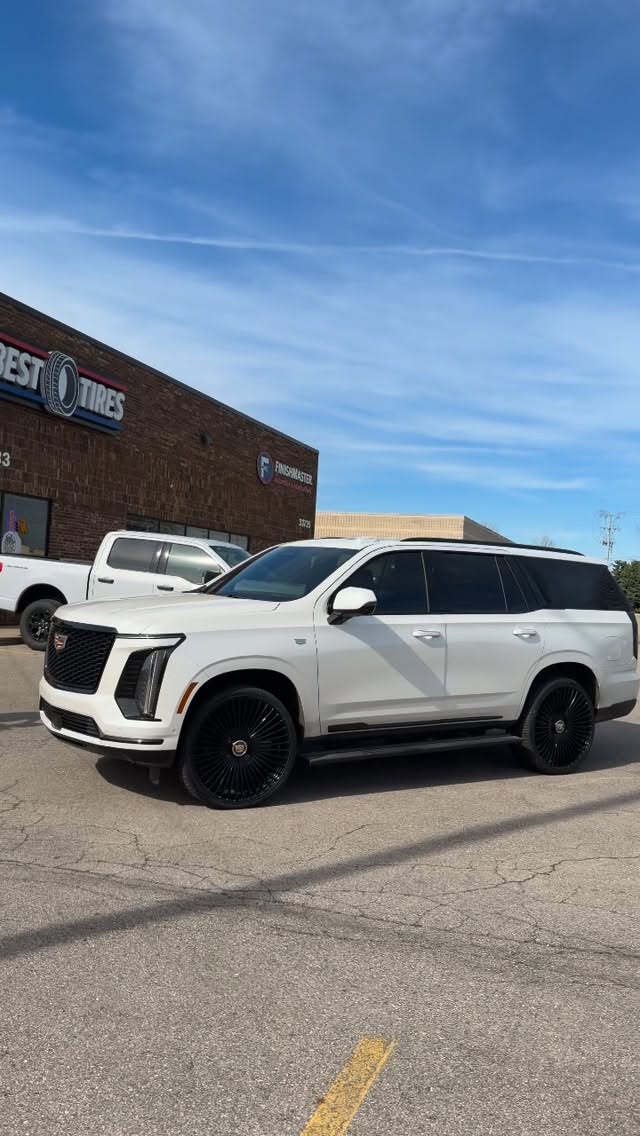 Car Gallery — build 56