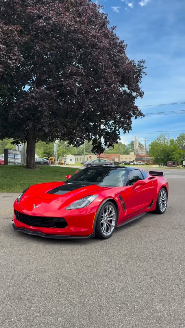 Car Gallery — build 19